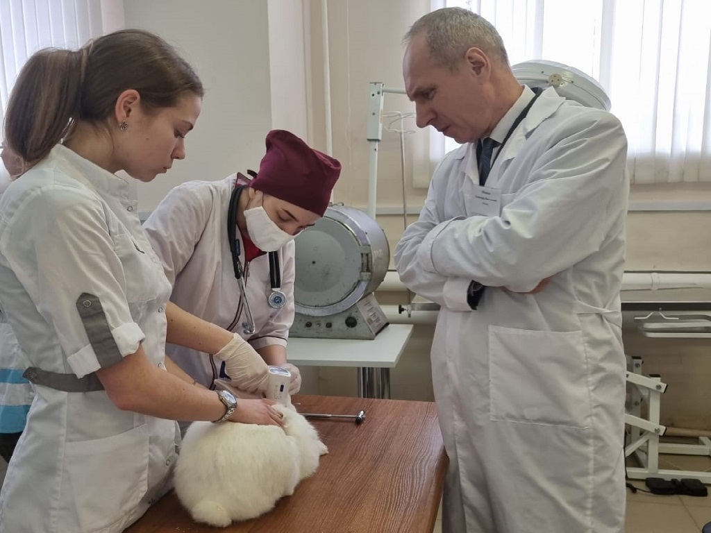 Демонстрационный экзамен по стандартам ворлд скилс по компетенции ветеринария