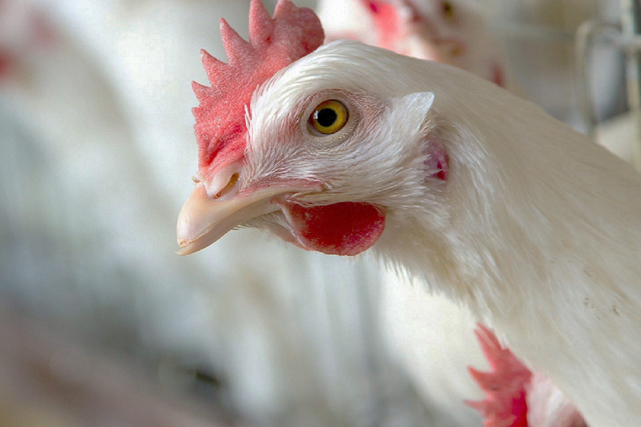 График проведения курсов повышения квалификации на 2026 год